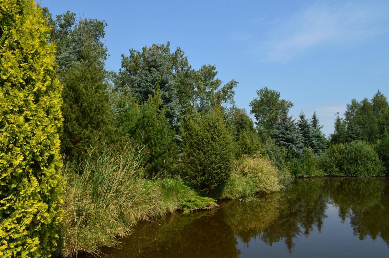 Chata Dziadka Ignacego Augustów Exterior foto